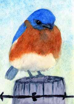 "Bluebird" by Rebecca Herb, Madison WI - Watercolor, SOLD